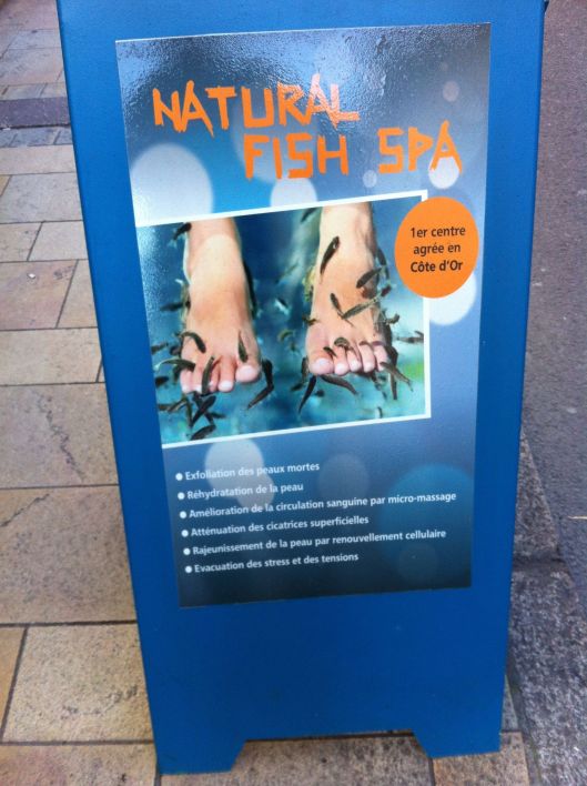 The Dijon "fish spa" where piranha-like fish chew dead skin. Perhaps not the high point of French medicine.