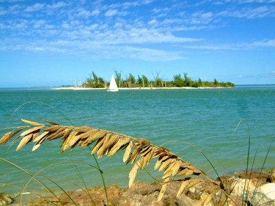 Harvey's dream of sailing to the South Seas.
