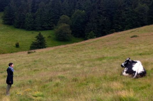 Sandra was in cow heaven on the farm in the Vosges Mountains with a herd of Munster cows. This one should have been named Herman.
