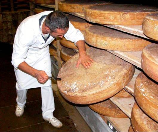 The affineur taps the cheese and it tells him when it is ready.